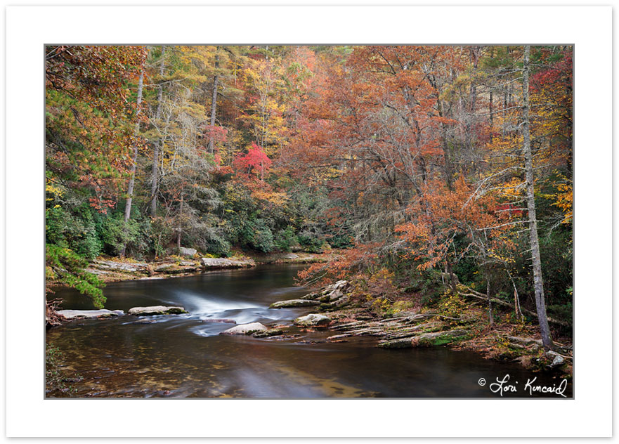 AD0500: Autumn foliage along the Chattooga National Wild and Sce