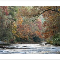 AD0505: Chattooga National Wild and Scenic River, Sumter Nationa