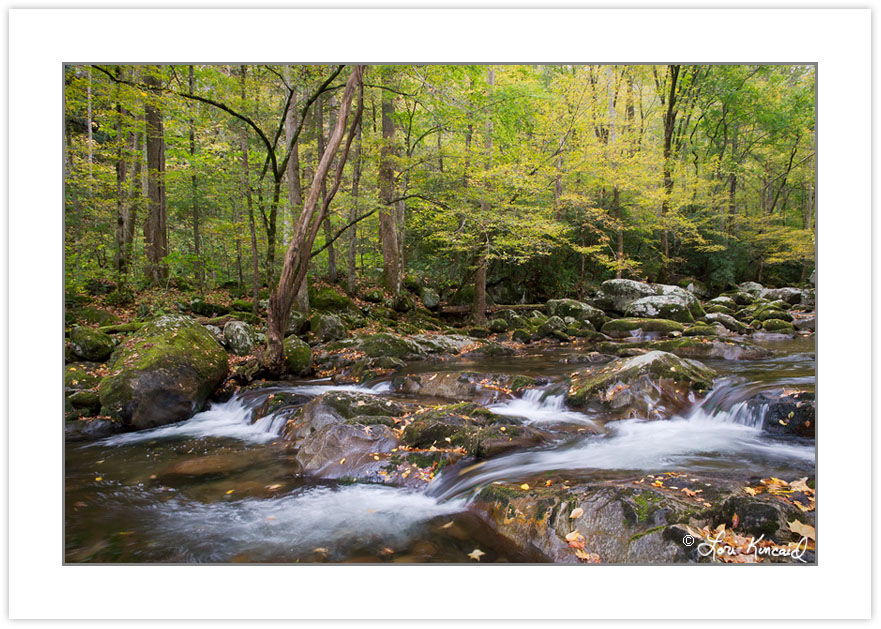 AD0285: Big Creek, Great Smoky Mountains National Park, TN, Autu