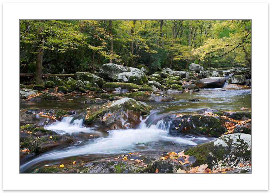 AD0286: Big Creek, Great Smoky Mountains National Park, TN, Autu