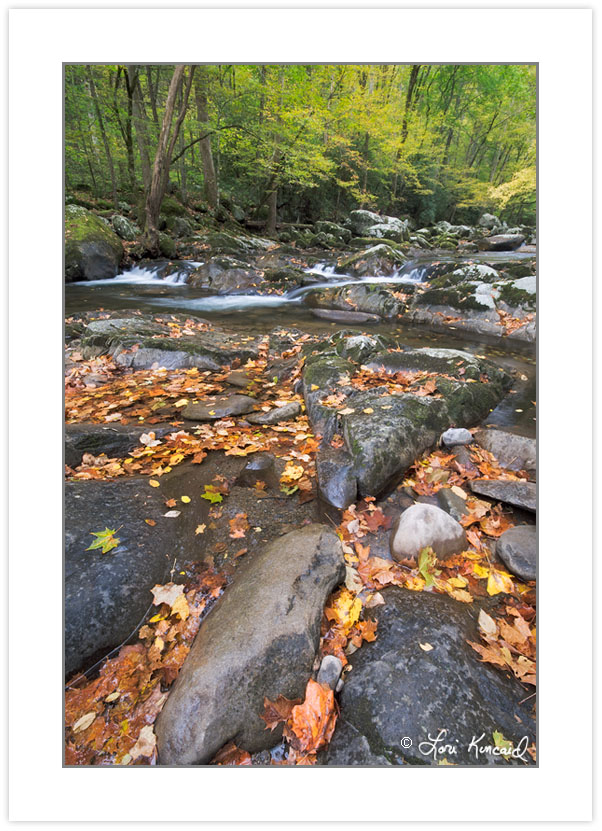 AD0288: Big Creek, Great Smoky Mountains National Park, TN, Autu