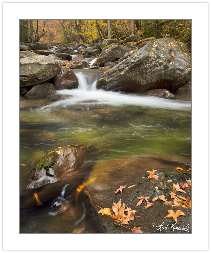 AD0685: Cosby Creek, Great Smoky Mountains National Park, TN, Au