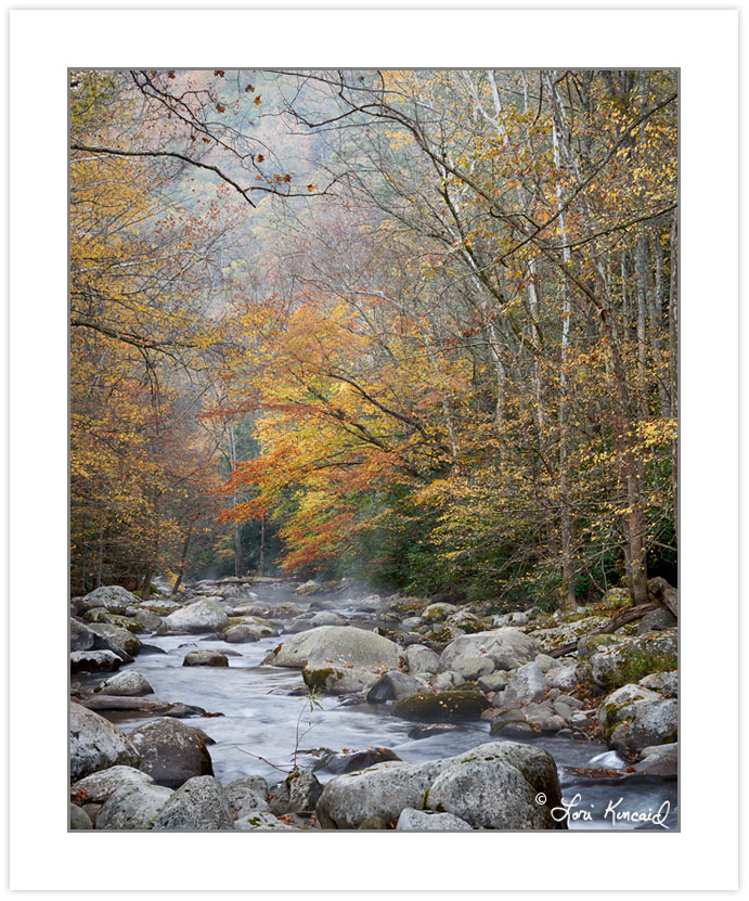 AD0691: Big Creek, Great Smoky Mountains National Park, TN, Autu