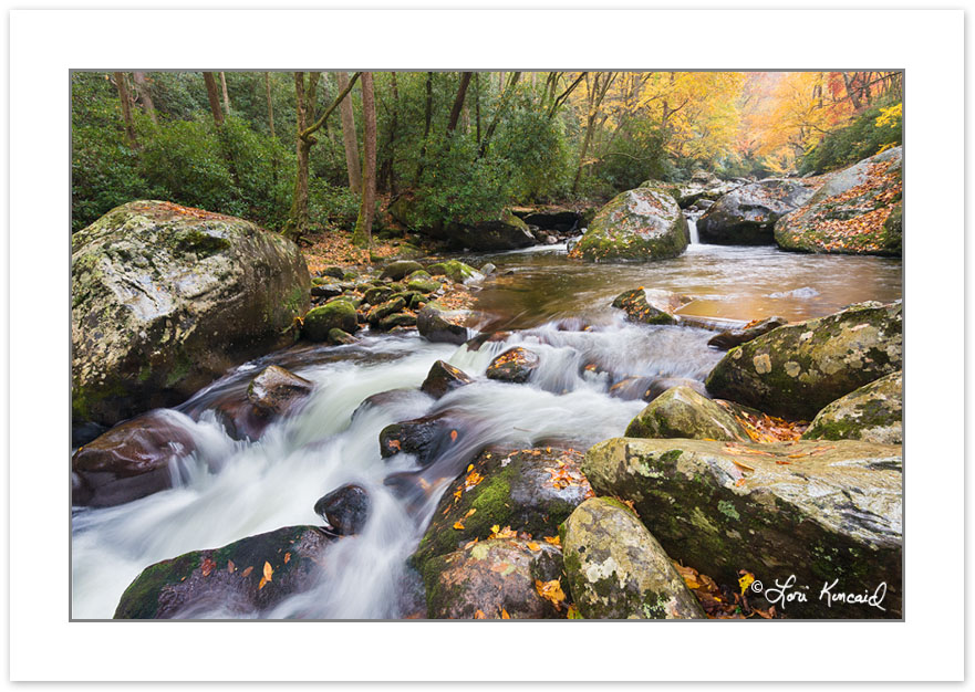 Big Creek, Great Smoky Mountains National Park, TN