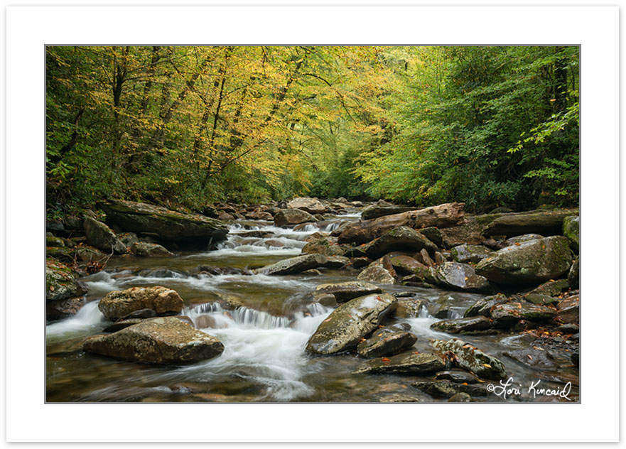 AD0824: Walker Camp Prong, Great Smoky Mountains National Park,