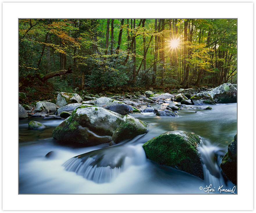 AL0140: Early autumn along the Little River at Sunrise, Elkmont