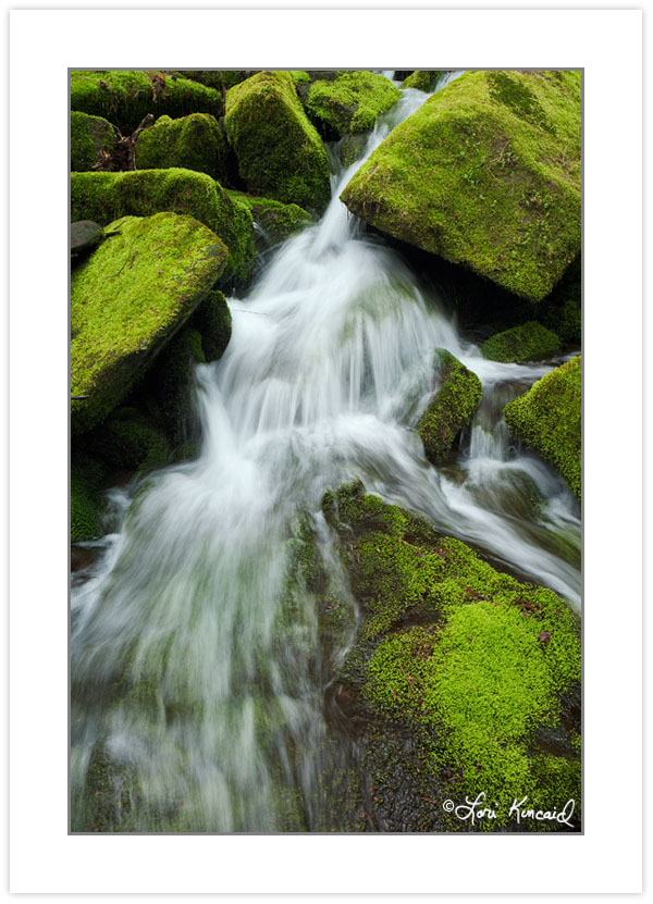 SD0330: Cascade on Steep Branch, Great Smoky Mountains National