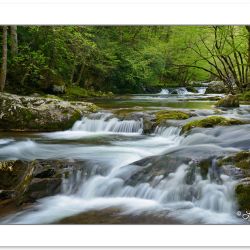 Middle Prong Little River, Great Smoky Mountains National Park,