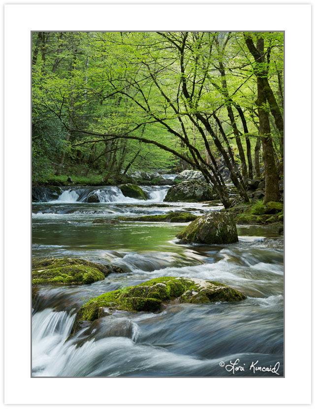 SD0896: Middle Prong Little River, Great Smoky Mountains Nationa