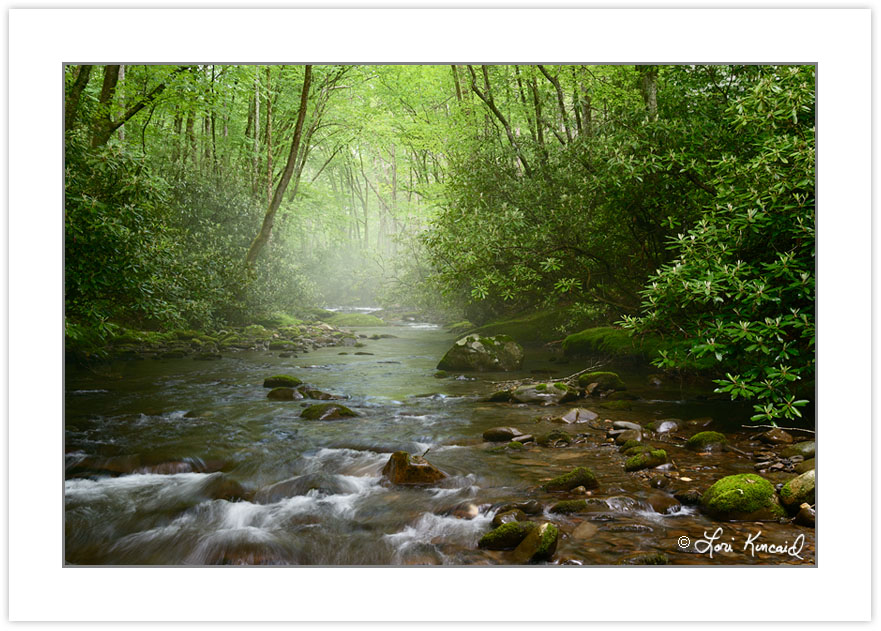 Bradley Fork of the Oconoluftee River, Great Smoky Mountains Nat