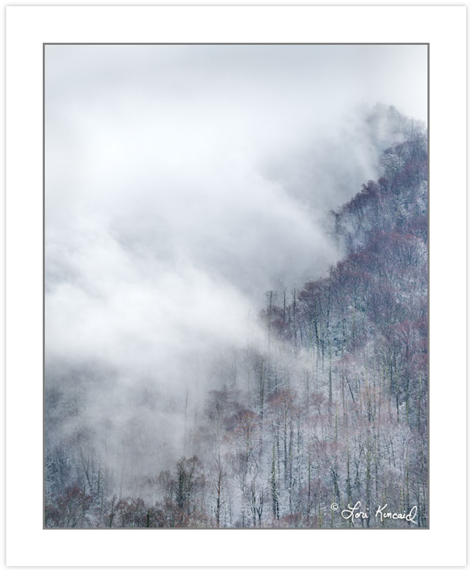 WD0327: Mist rises off the mountains after a snow, Great Smoky M