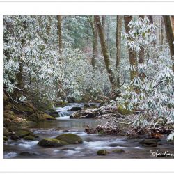 Anthony Creek, Great Smoky Mountains National Park, TN, winter