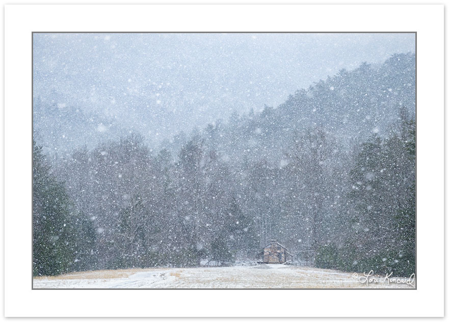 Historic John Oliver Cabin during a snow squall, Cades Cove, Gre