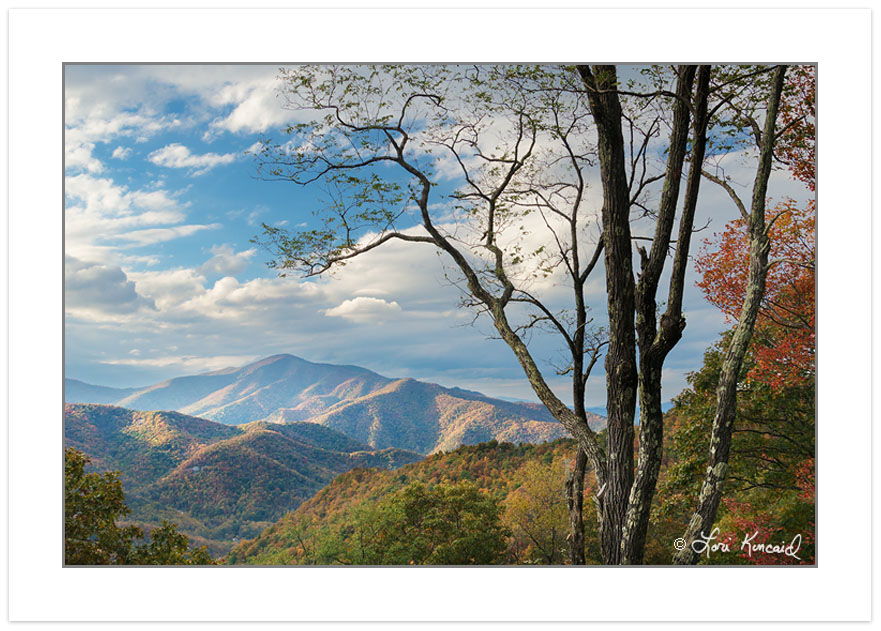 View of Cold Mountain, NC, autumn, Haywood County