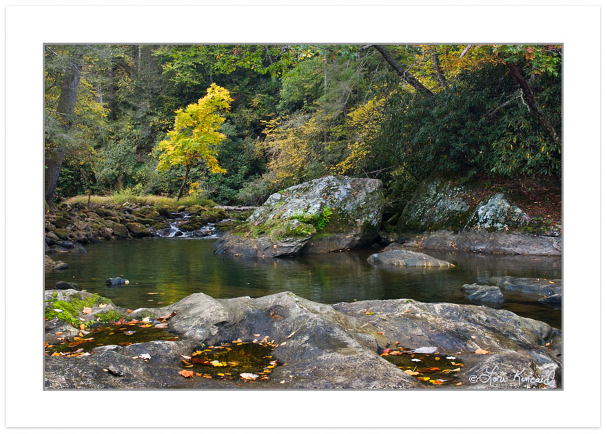 Fall foliage on the Cullasaja River, Macon County, NC