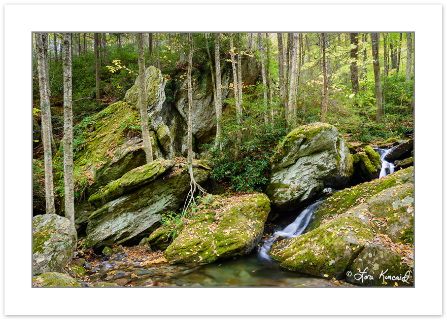 AD0716: Cascade on Shanty Spring Branch, Grandfather Mountain St