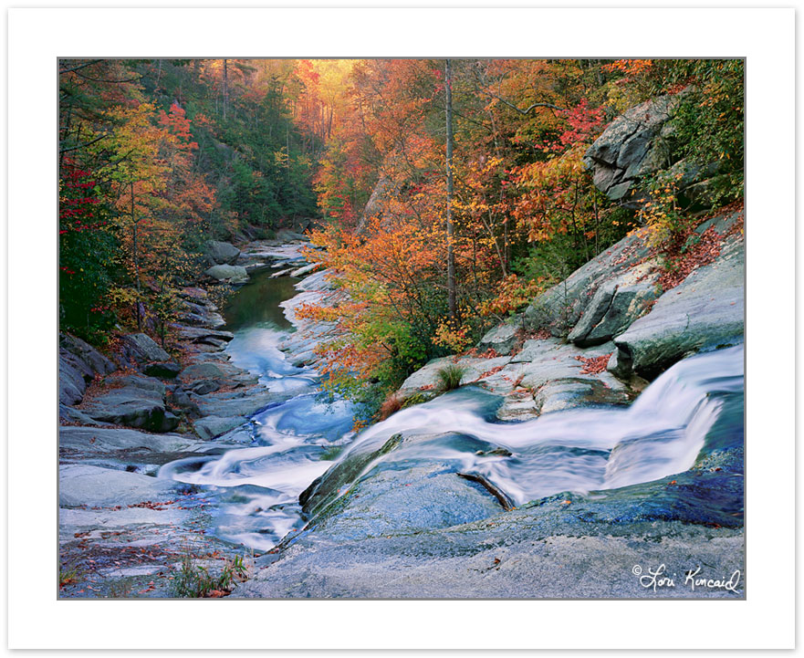 AL0176: Lower waterfall on Gragg Prong, Pisgah National Forest,
