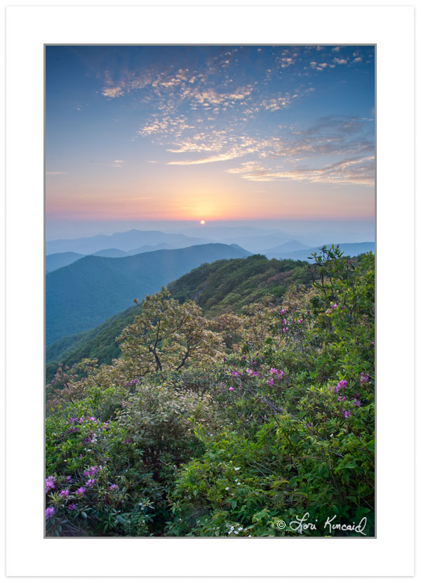 Sunset view from Standing Indian Mountain, Nantahala National F