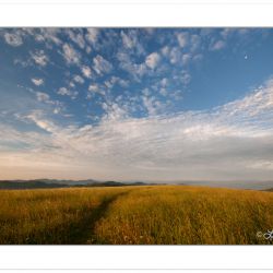 Early morning on Max Patch with quarter moon, Pisgah National Forest, NC, July