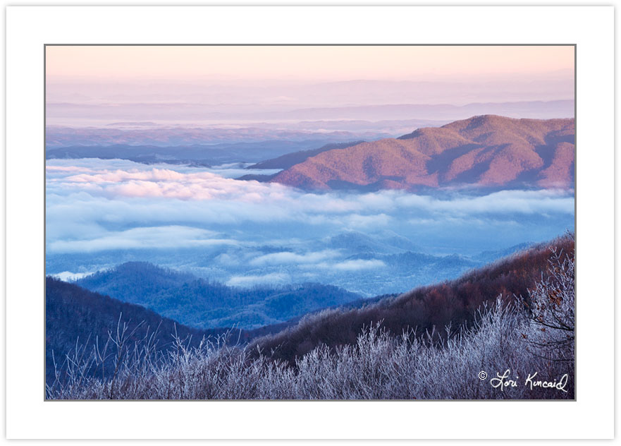 WD0285: View from Max Patch in Pisgah National Forest into Tenne
