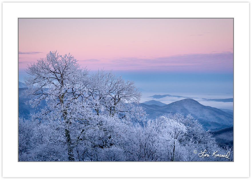WD0290: Winter view at dawn from Max Patch Mountain, Pisgah Nati