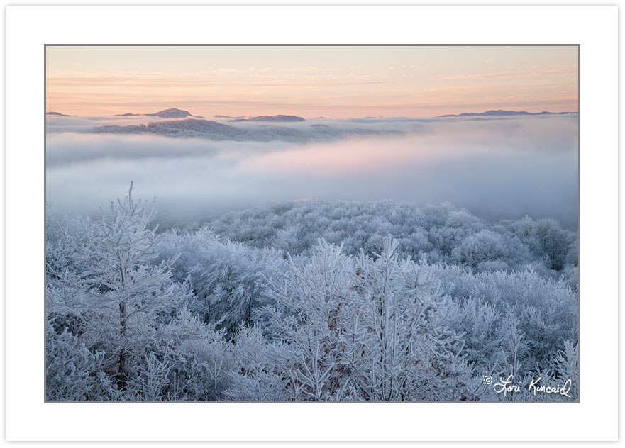WD0312: Winter view at dawn from Max Patch Mountain, Pisgah Nati