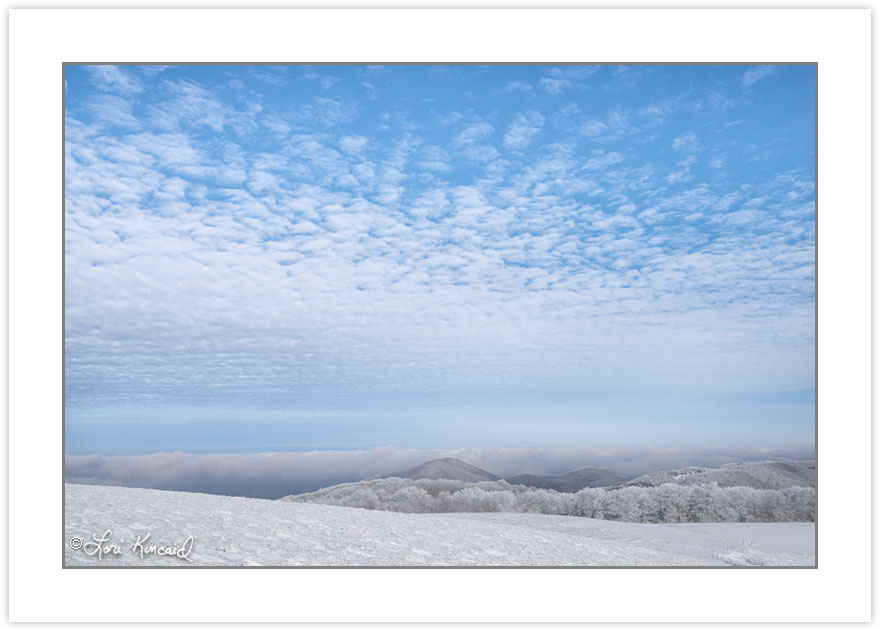 Max Patch, Pisgah National Forest, NC, winter
