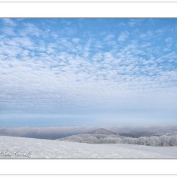 Max Patch, Pisgah National Forest, NC, winter