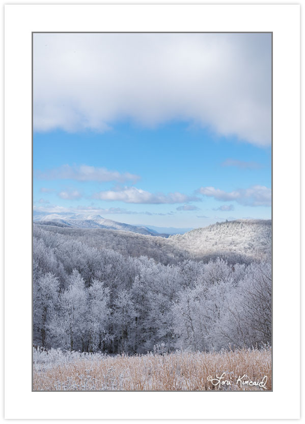 WD0386: Bald Mountains meadow with Cherokee National Forest in t