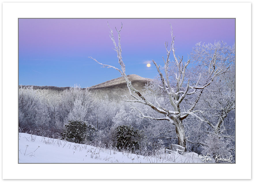 WD0393: Full Moon over a garden bench in the Bald Mountains, NC-