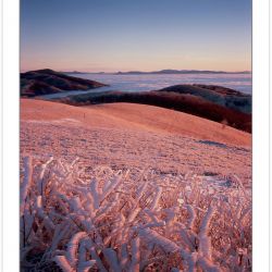 WL0107: Winter view at dawn from Max Patch Mountain, Pisgah National Forest, NC
