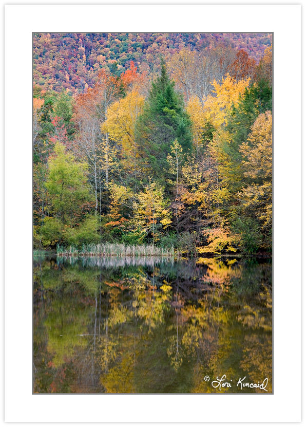 AD0222: Autumn reflection, Boundary Lake, Cherokee National Fore