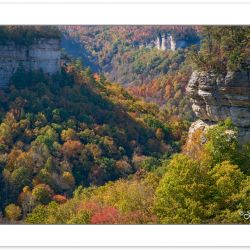 AD0234: Pogue Creek State Natural Area, Tennessee, Autumn