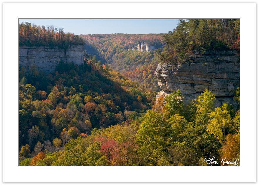 Pogue Creek State Natural Area, Tennessee, Autumn