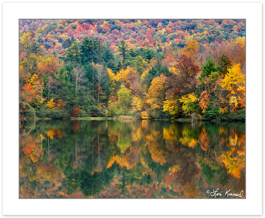 AL0192: Autumn foliage reflected on Boundary Lake, Cherokee Nati