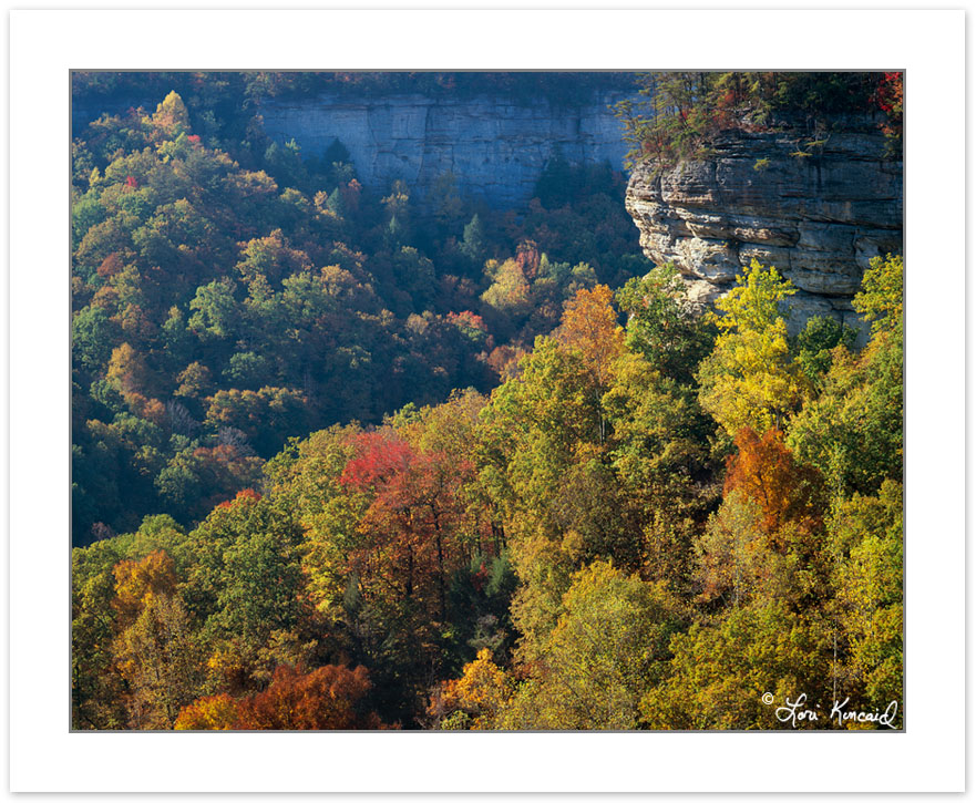 AL0231: Autumn foliage along the sandstone cliffs of  the Pogue