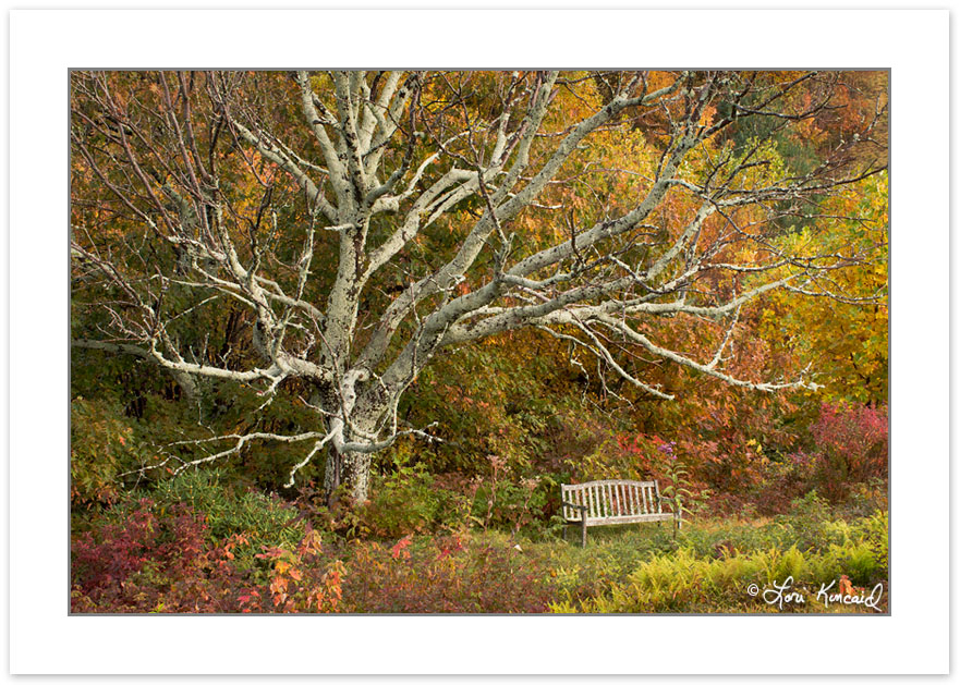 RD0128: Garden bench, Bald Mountains, NC-, AutumnTN