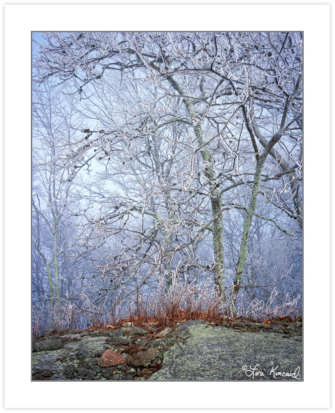 WL0146: Rock outcrop and snow-coated trees, Bald Mountains, TN,