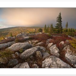 AD0553: Sunrise View of Dolly Sods Wilderness  with red Blueberr