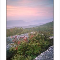 AD0562: Sunrise view of Mountain sh and the Allegheny Front. Bea